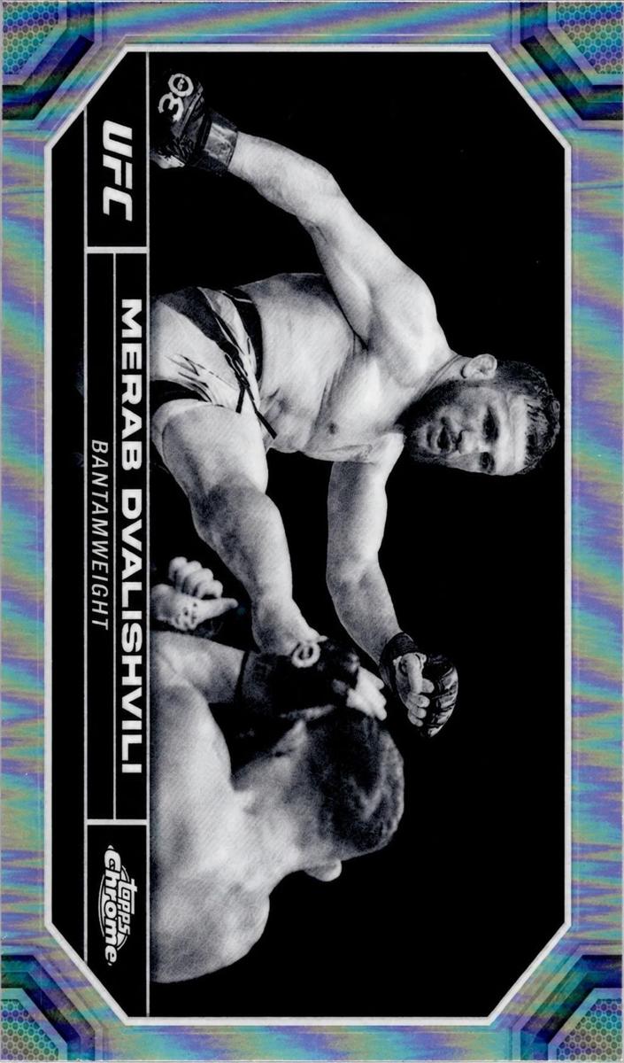 2024 Merab Dvalishvili [Negative Refractor] #135