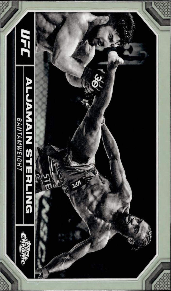 2024 Aljamain Sterling [Negative Refractor] #12