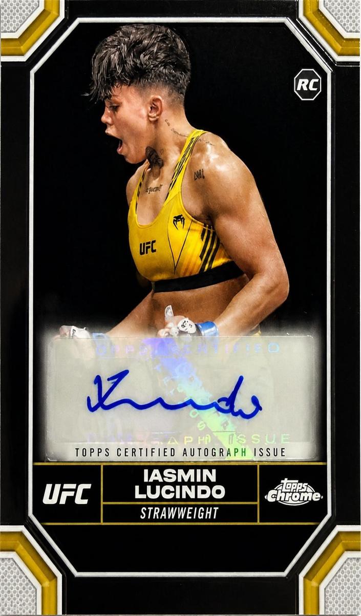 2024 Iasmin Lucindo #CRA-ILU