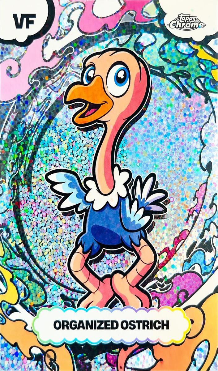 2026 Organized Ostrich #SSA-68