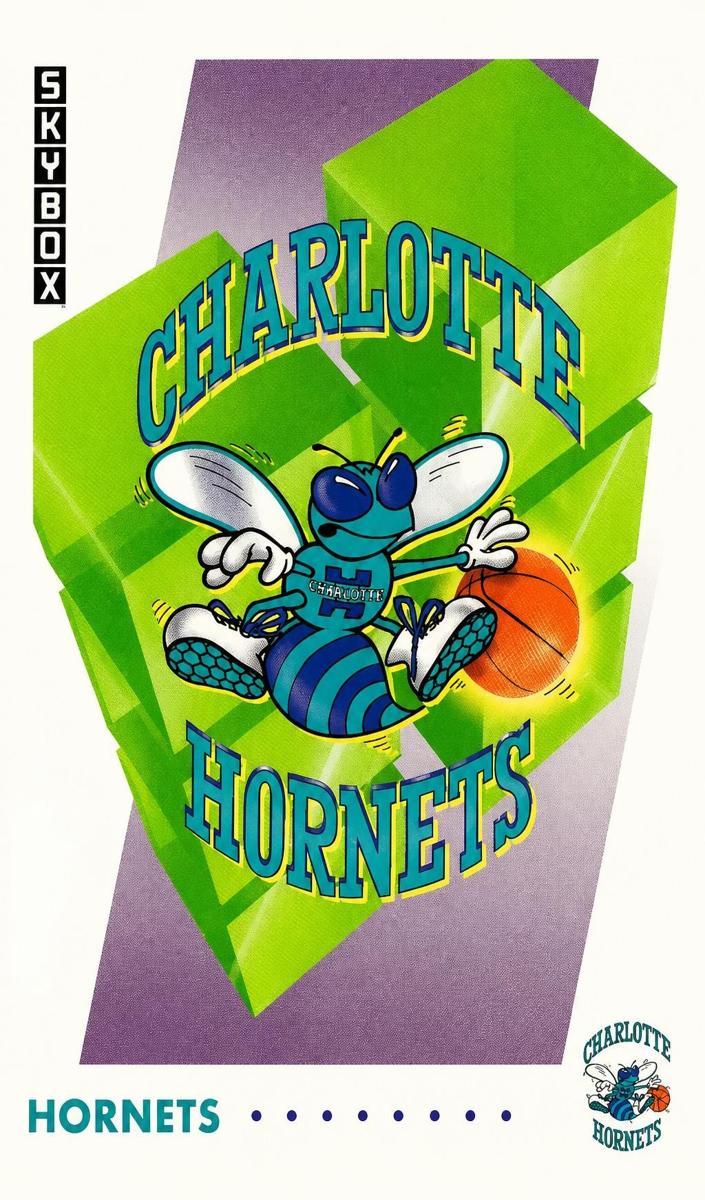 1991 Charlotte Hornets #353