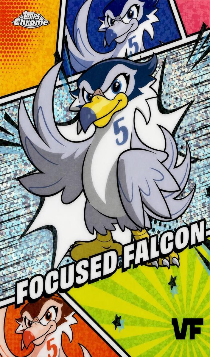 2025 Focused Falcon #MSS-4