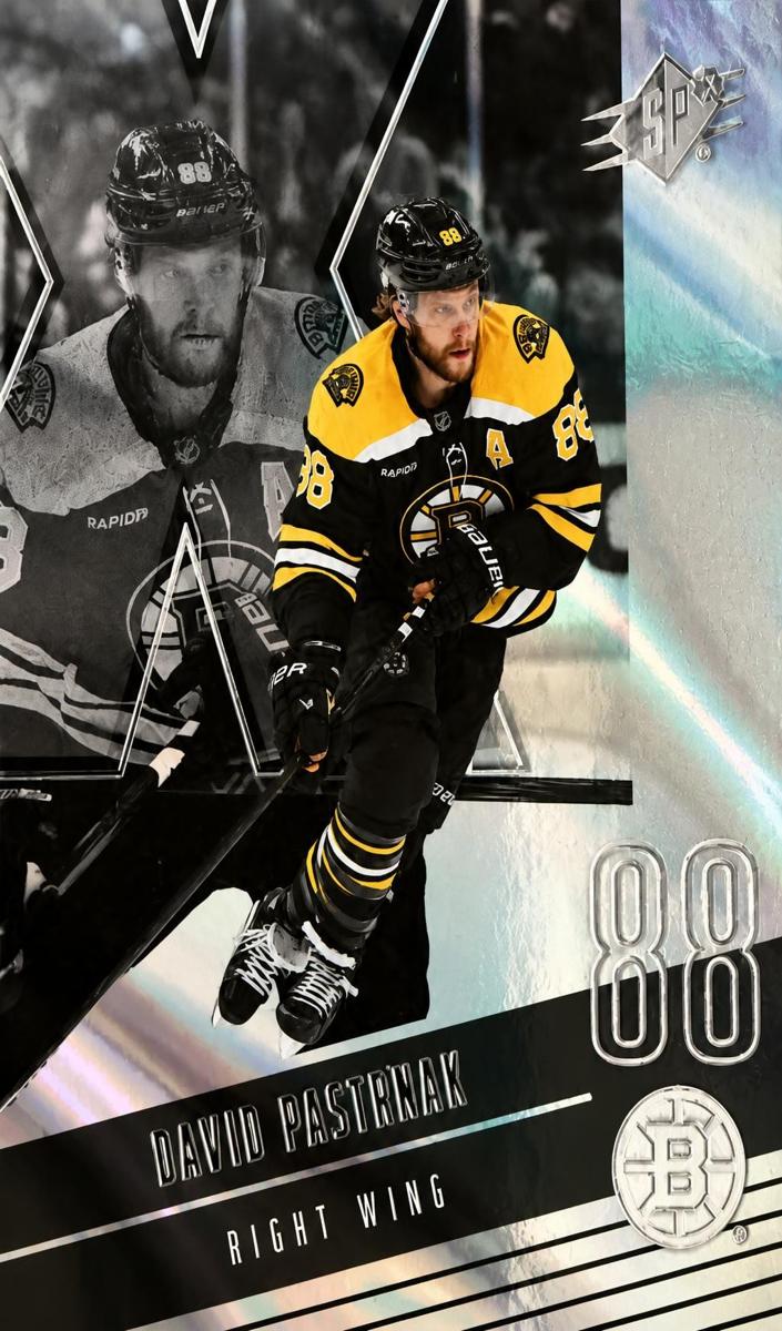 2025 David Pastrnak [Silver] #94