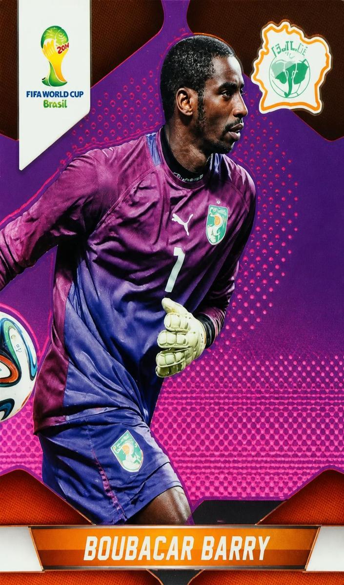 2014 Panini Prizm World Cup Boubacar Barry [Purple] #57 card
