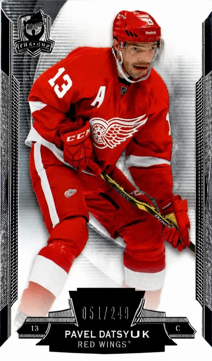 2014 Pavel Datsyuk #30