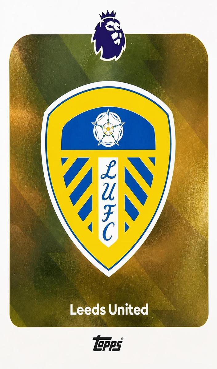2025 Team Badge #325