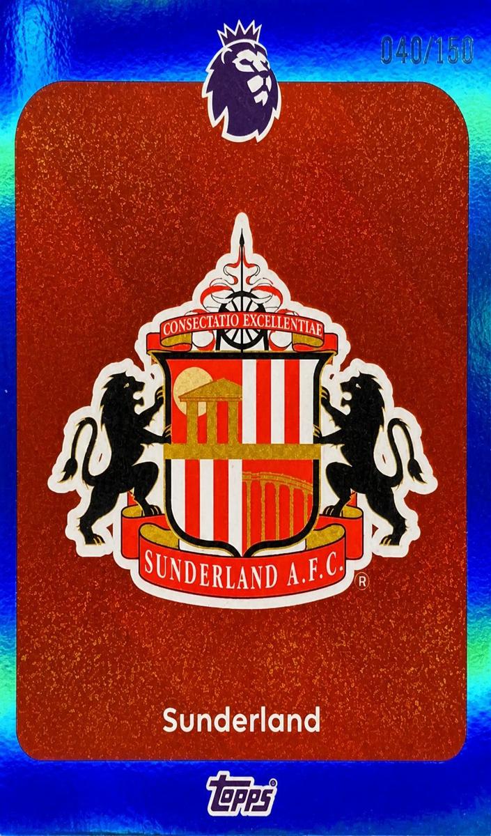 2025 Team Badge [Blue Rainbow] #343