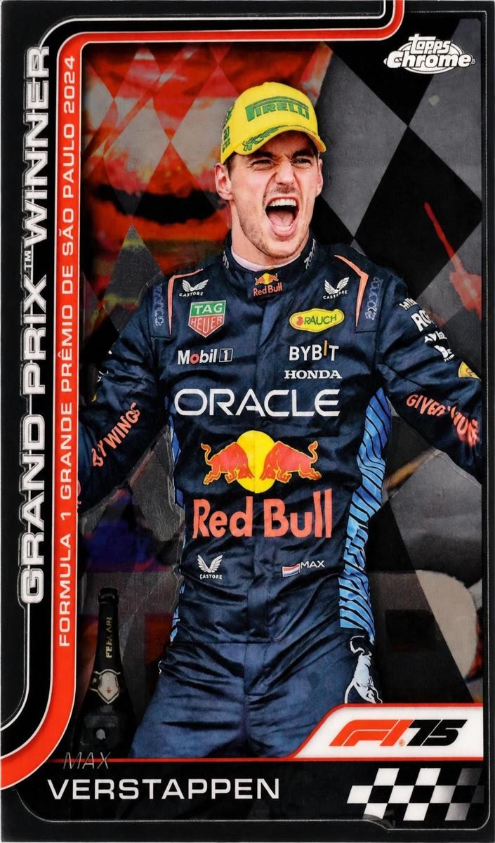 2025 Max Verstappen #113