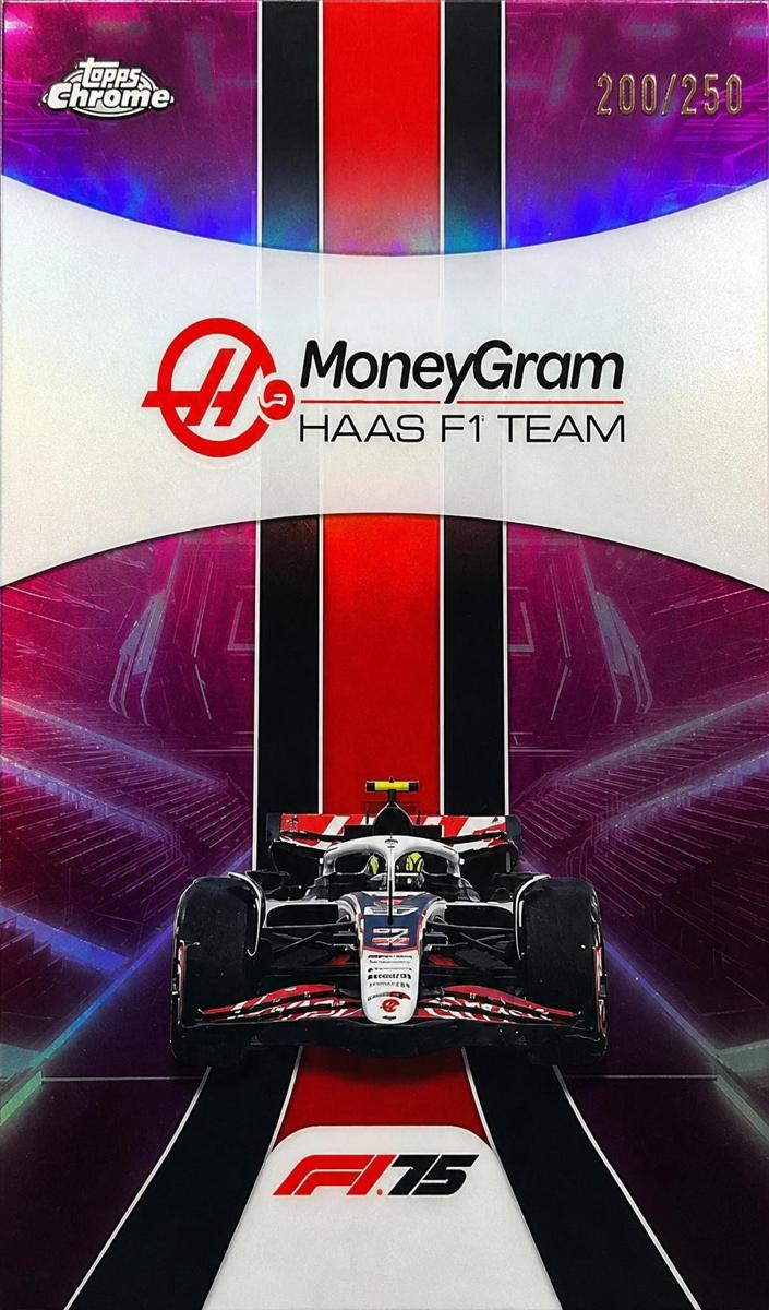2025 MoneyGram Haas F1 Team #180