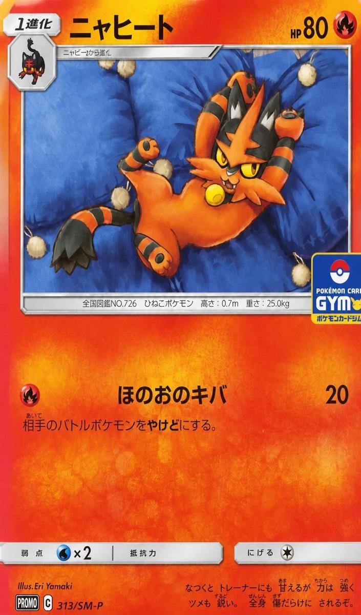 2019 Torracat #313/SM-P