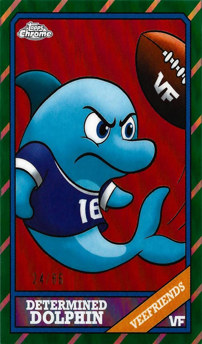 2026 Determined Dolphin #TF-DD