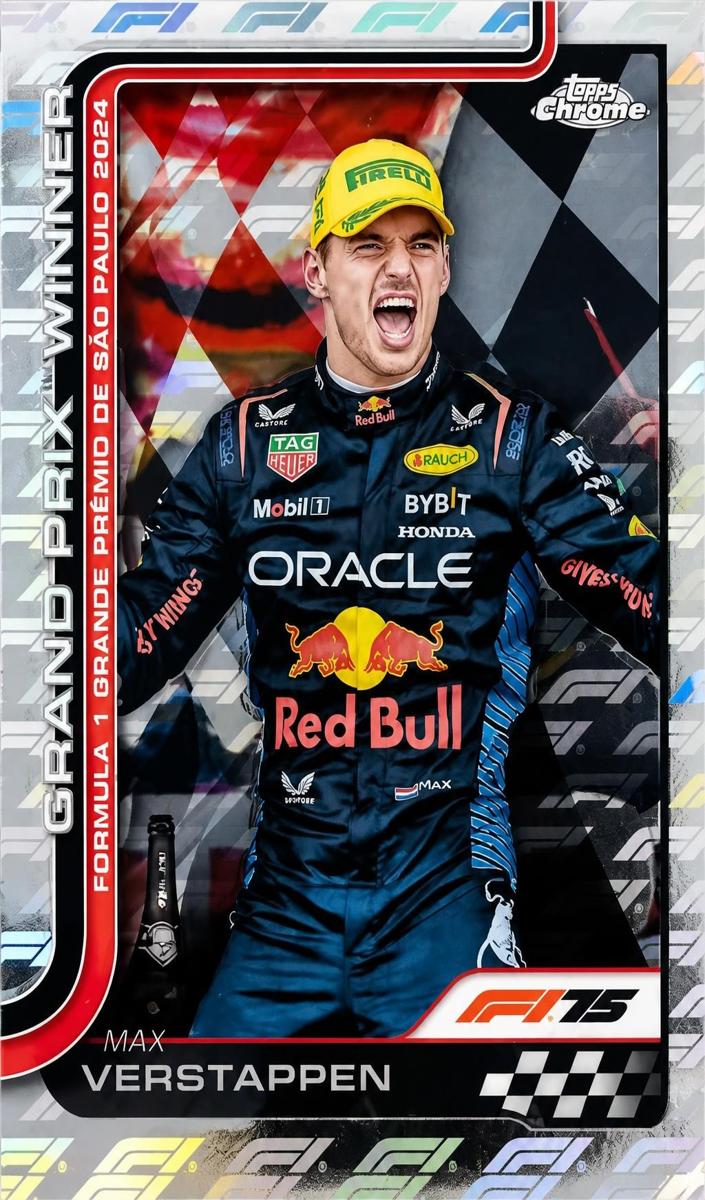 2025 Max Verstappen #113
