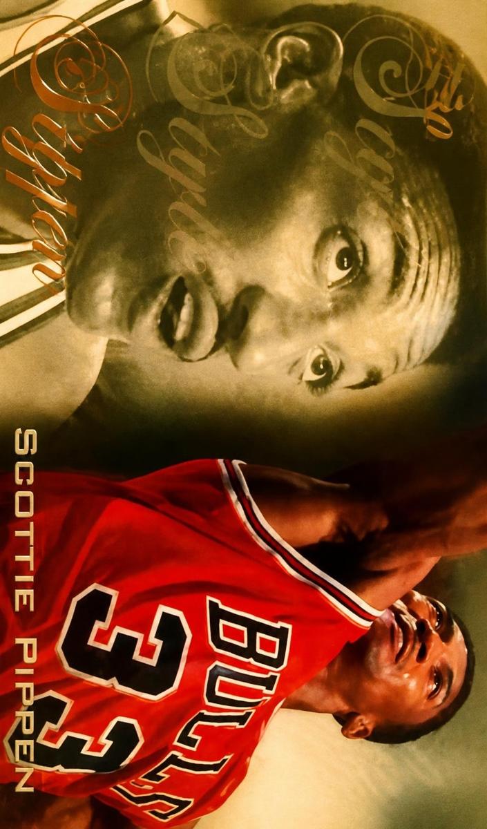 1995 Scottie Pippen #241
