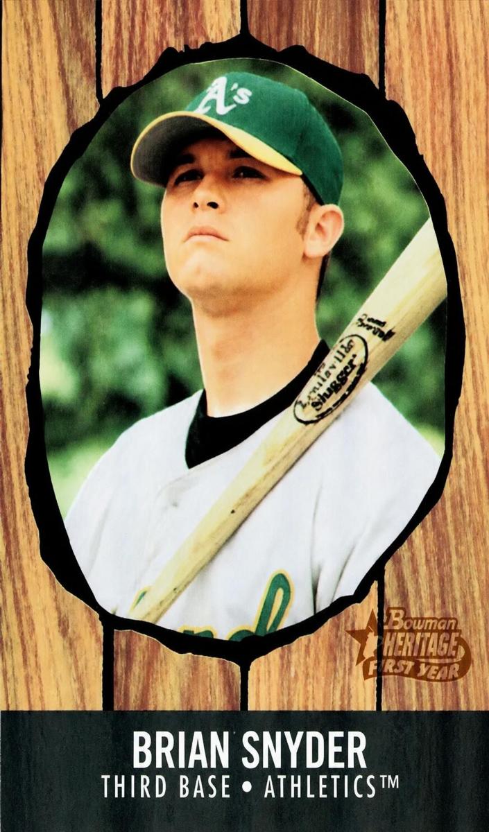 2003 Brian Snyder #267