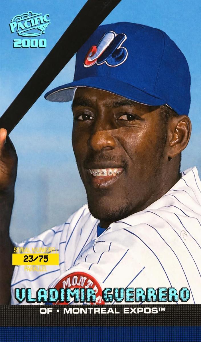2000 Vladimir Guerrero [Platinum Blue] #263