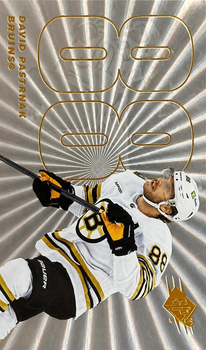 2024 David Pastrnak #88
