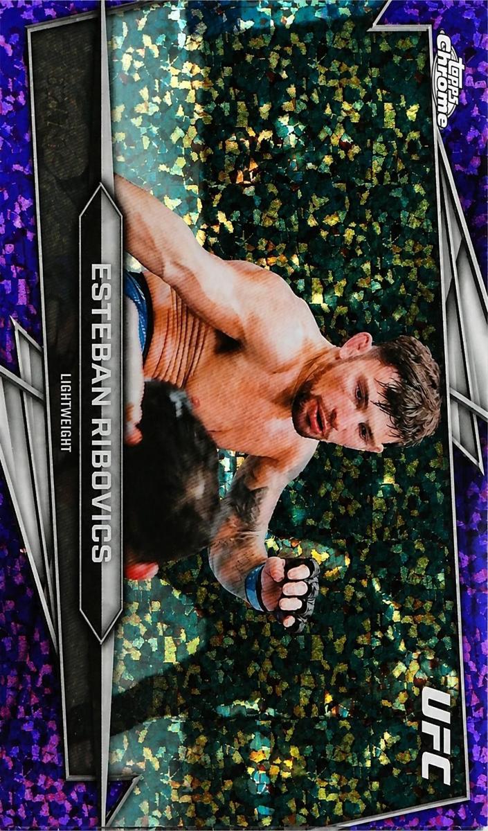 2026 Esteban Ribovics [Purple Mini-Diamonds Refractor] #49
