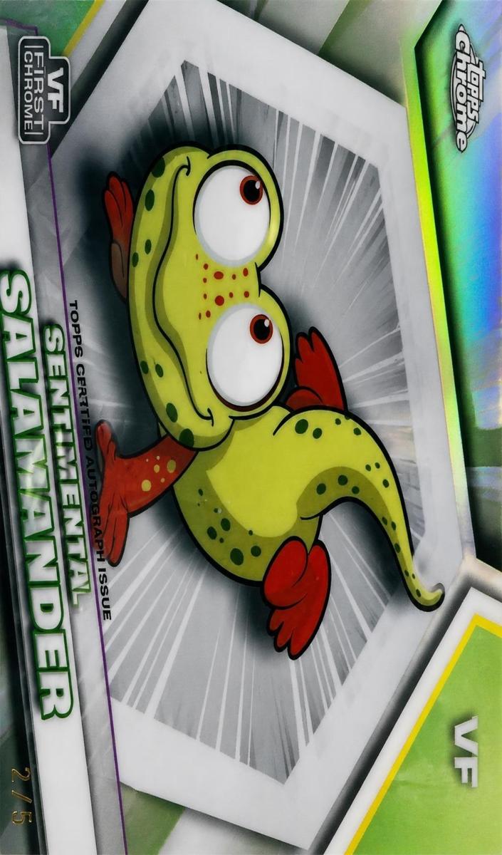 2026 Sentimental Salamander #154