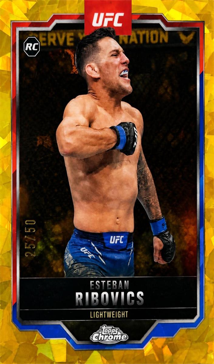 2025 Esteban Ribovics [Gold Geometric Refractor] #75