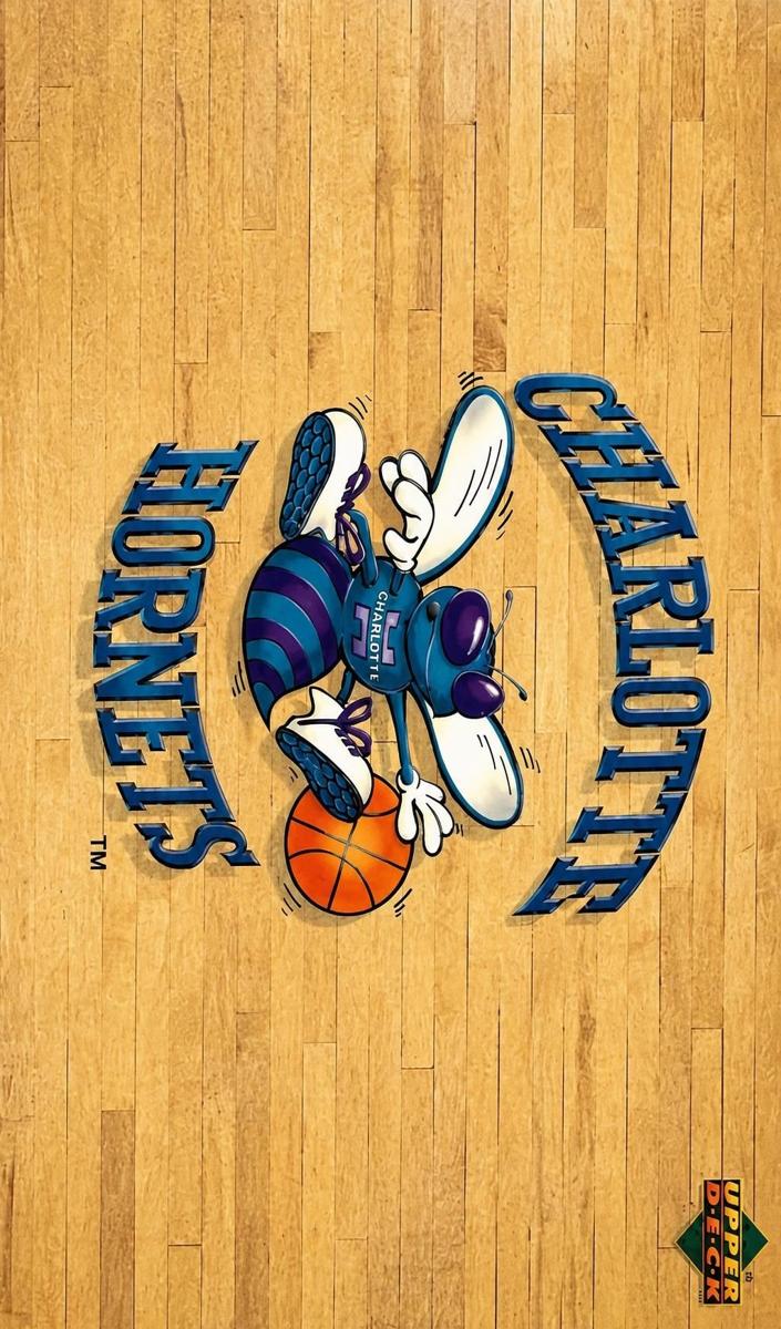 1991 Hornets Logo #133
