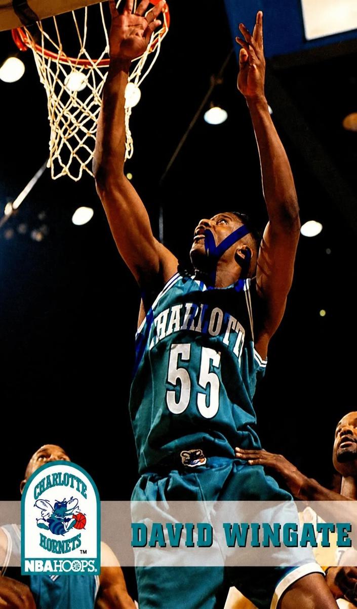 1993 Hoops David Wingate #310 card