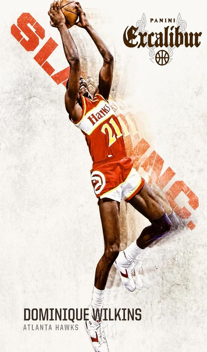 2014 Dominique Wilkins #6