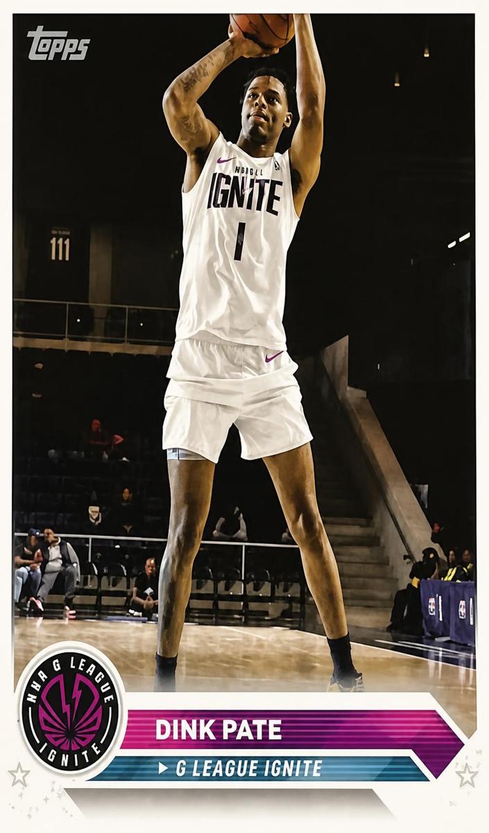 2023 Dink Pate #20