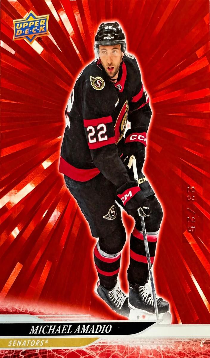 2024 Upper Deck Michael Amadio #594 card