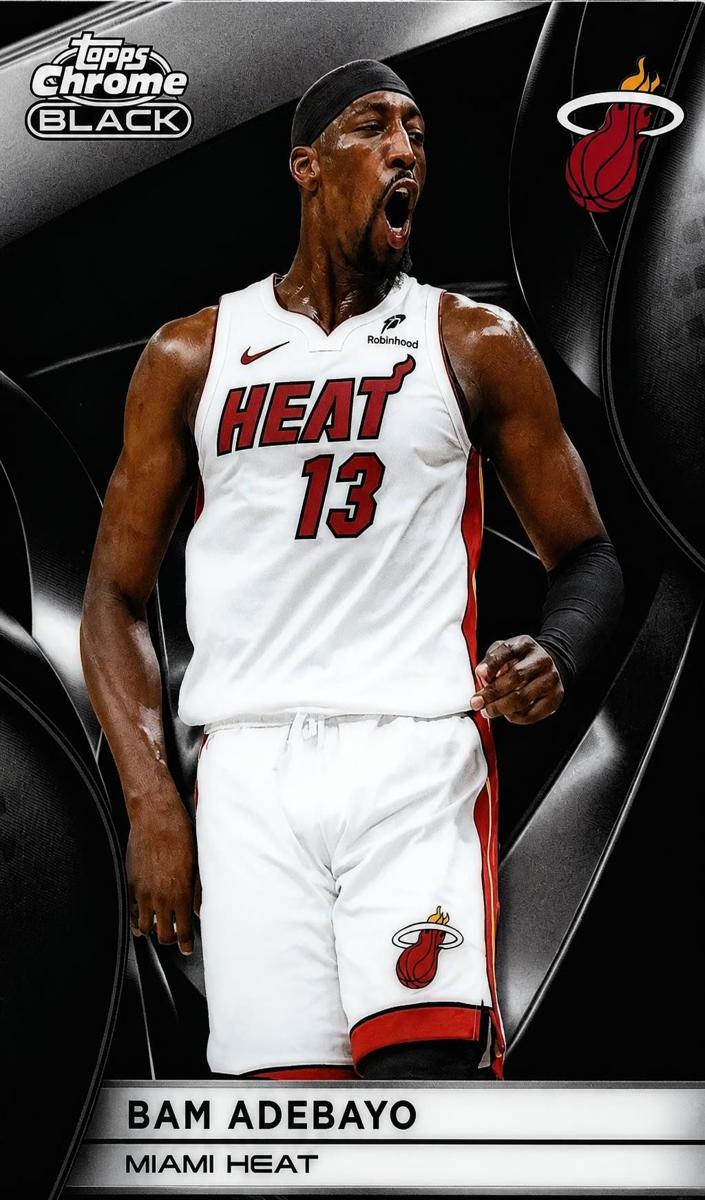 2025 Bam Adebayo #35