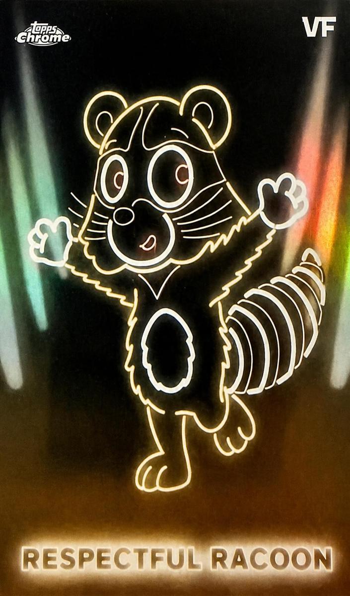 2026 Respectful Racoon #NE-18