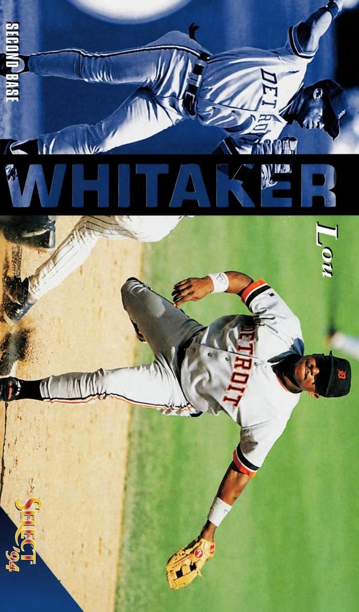 1994 Lou Whitaker #323