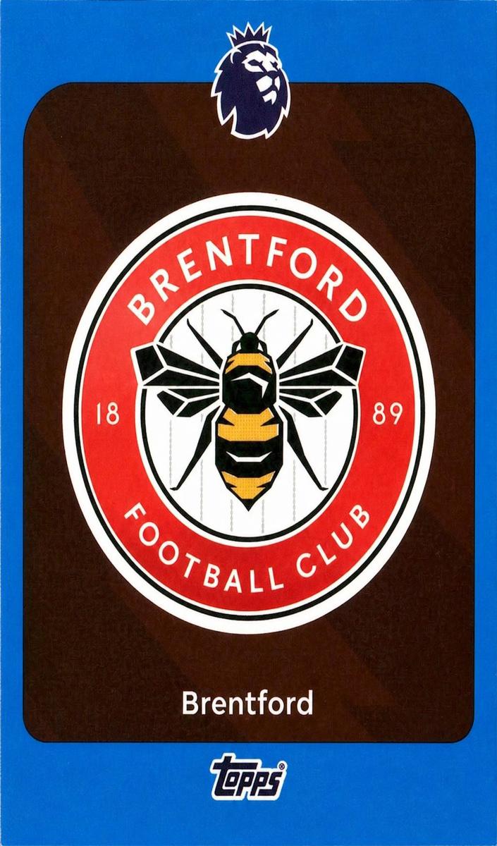 2025 Team Badge [Blue] #55