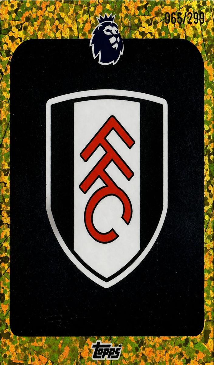 2025 Team Badge #145