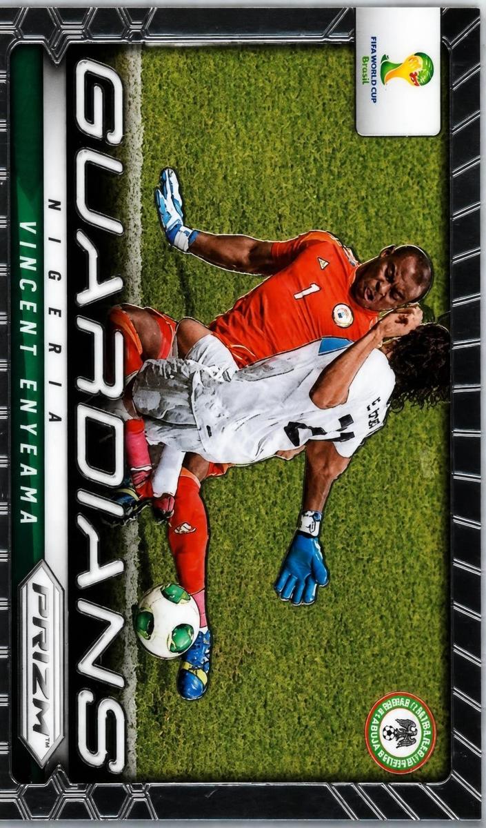 2014 Vincent Enyeama [Black] #18