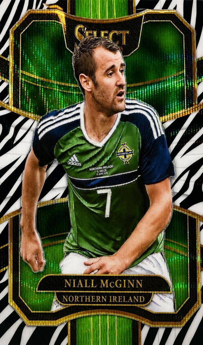 2017 Niall McGinn [Zebra] #86